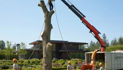 Professional landscaping and tree removal in Oshkosh, WI by Chop Chop Tree experts